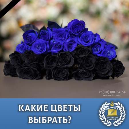 ����� ����� �������?