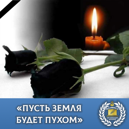 ����� ����� ����� �����