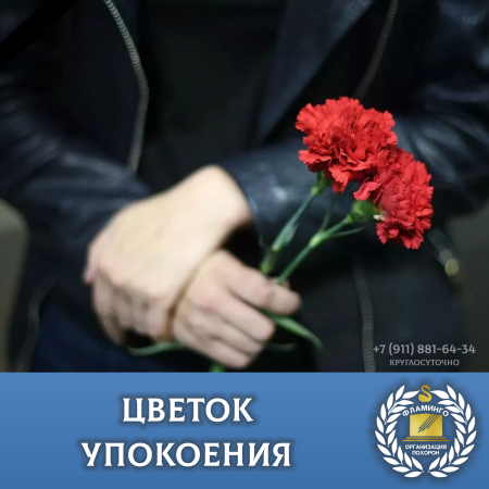 ������ ���������: ������ �������� ��������� �������� ������ � ������?