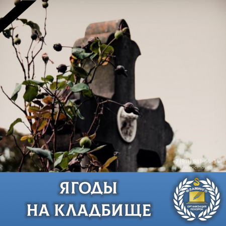 ����� �� ��������